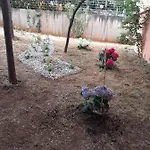 Szálloda Tamaris Novi Vinodolski