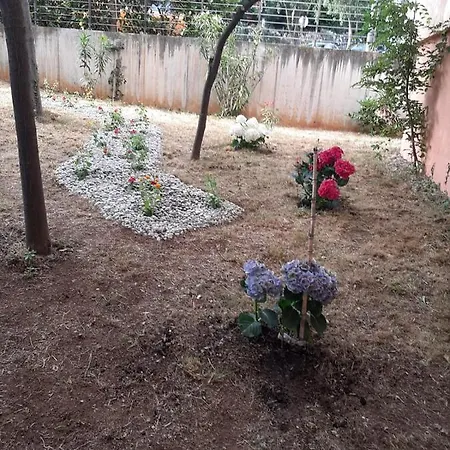 Hotel Tamaris Novi Vinodolski